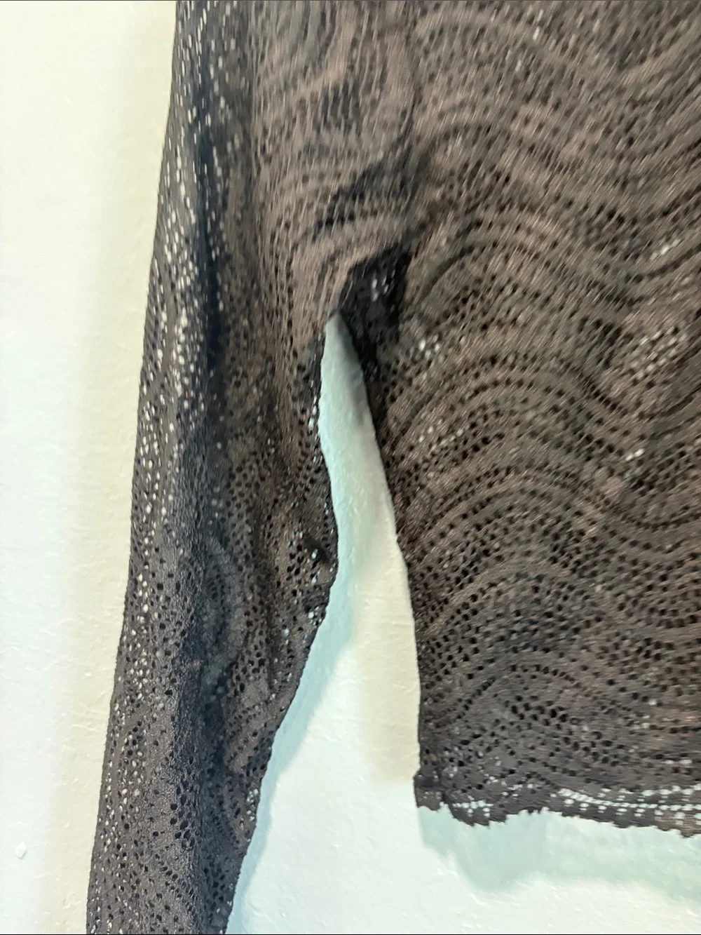 Zara Black Lace Long-Sleeve Cropped Top